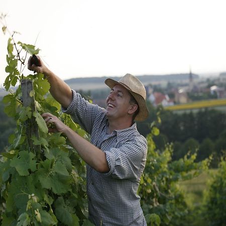 Worners Schloss Weingut & Wellness-Hotel Prichsenstadt Εξωτερικό φωτογραφία